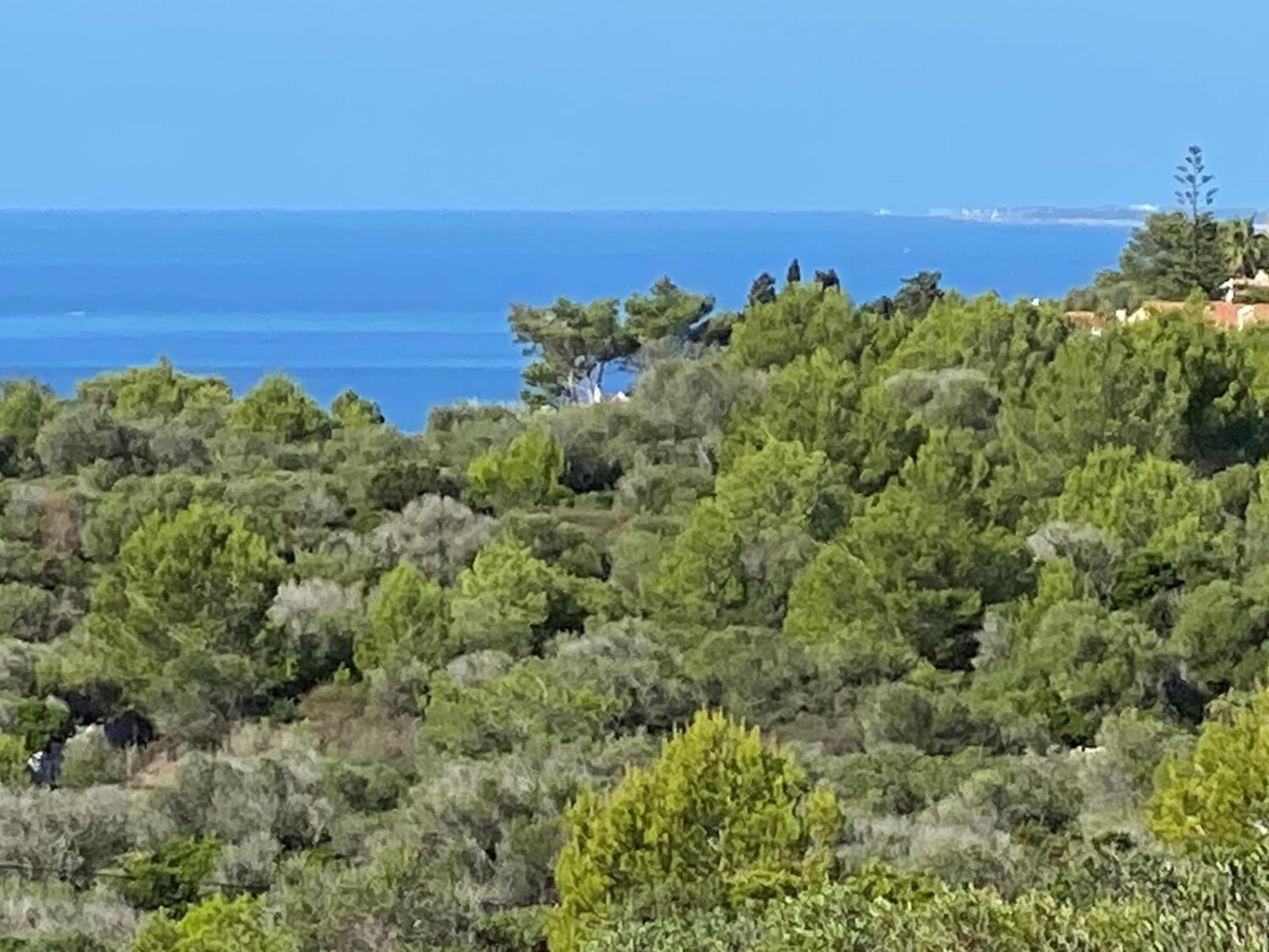 Holiday Home Finca Sant Jaume 阿莱奥尔 外观 照片